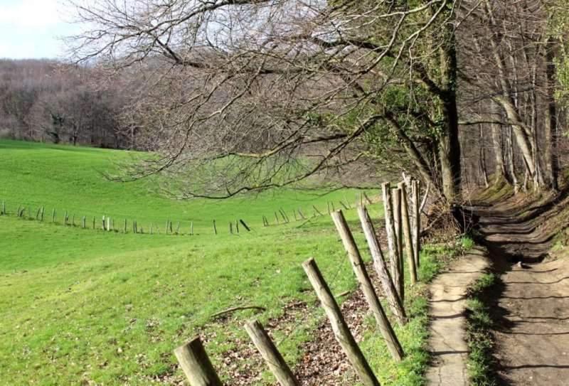 Meerbeek Unwind Kortenberg エクステリア 写真