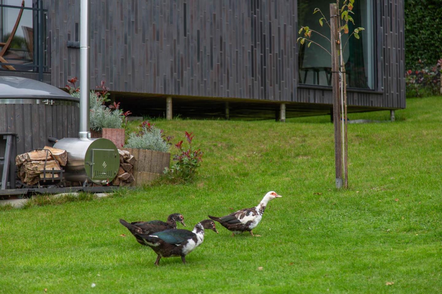 Meerbeek Unwind Kortenberg エクステリア 写真